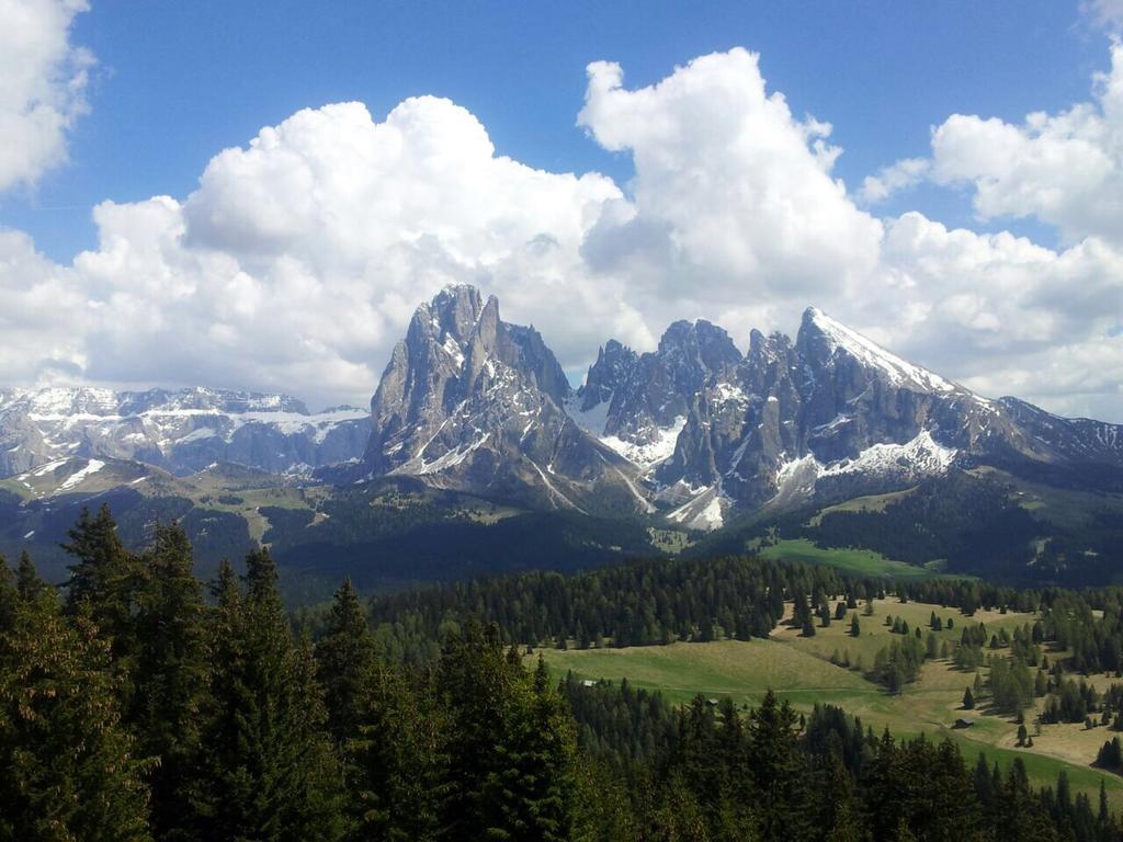 Garni Crepaz Acomodação com café da manhã Selva di Val Gardena Exterior foto